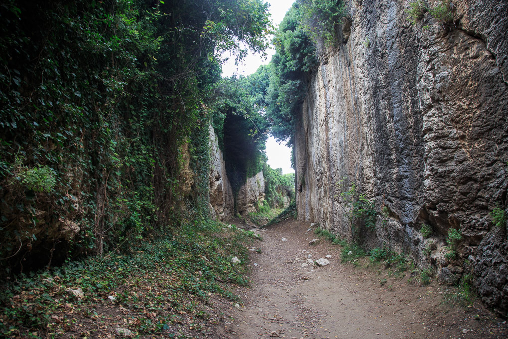 Çevlik